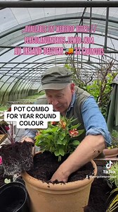 14K views · 331 reactions | Pot Combo for colour all year ,winter...