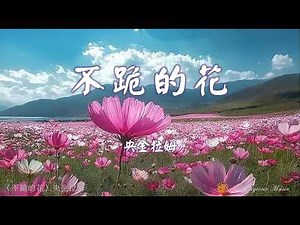 不跪的花 Bu gui de hua 央金拉姆 Yangjin Lamu #動態歌詞 Pinyin/Lyrics Music