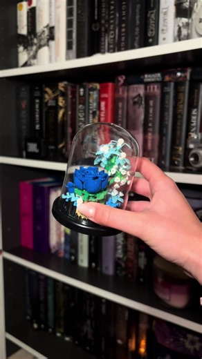 Rearranging my bookshelf and finally finding the perfect spot for my LEGO flower set 🌿✨ Little transitions, cozy vibes, and one step closer to my dream bookshelf. #bookshelf #legoflowers #aestheticvibes #tiktokshop #booktok