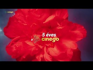 Öt éves a Cinego!