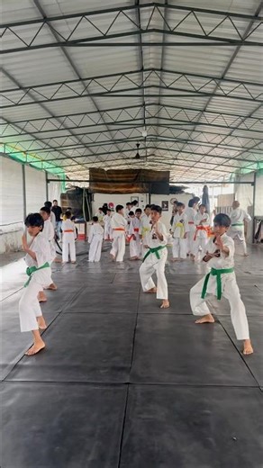 Another side of my life karate❤️🙌 #covloges #friends #vlogs #life #dojo #health