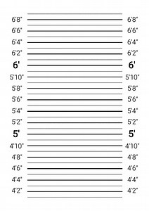 Mugshot background. Police lineup wall with an imperial units scale.
