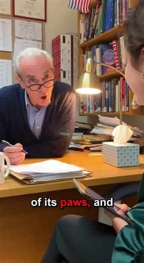 Grammar Joke: Cat vs Comma