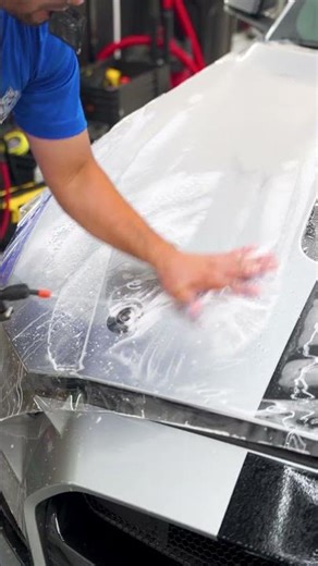 GT500 Gets Full Front Paint Protection Film - Rock Chip Shield Installed in Carol Stream, Illinois