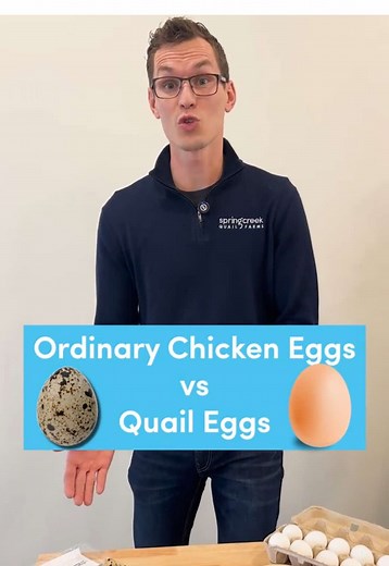 Quail Eggs vs. Chicken Eggs: Nutritional Benefits Explained