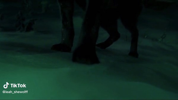 I love this wolf 🖤🐺. #viral #wolf #wolfedit #thecallofthewild #thecallofthewildedit #plzgoviral❤ #foryou #fypシ #blackwolf #nighthowlers #nighthowlerspack #wolvesedits #wolvespack🐺