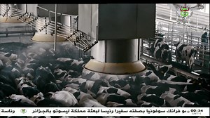 50K views · 419 reactions | بث مباشر القناة الاخبارية | Télévision Algérienne - المؤسسة العمومية للتلفزيون الجزائري | Facebook