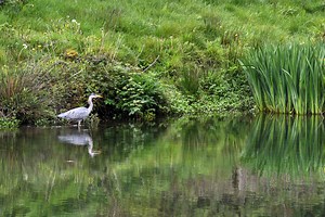 Vale Trail 6 | Walks in the Vale of Glamorgan