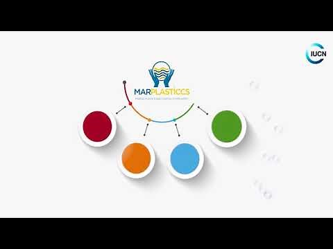 Marine plastic pollution: Towards a necessary plastic life cycle approach (short)