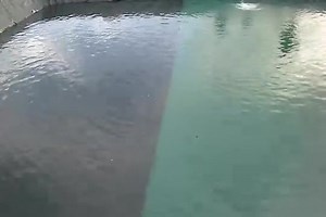 4.8K views · 23 reactions | Pond construction 0978823959 | OrganiX Agri & Hydro | Facebook