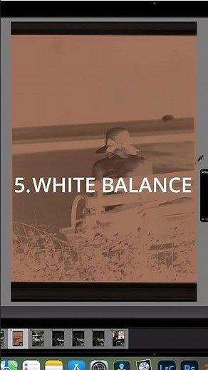 Comment scanner ses pellicules