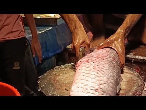 🔴Live🔴Uzzal Fish Cutting #asmr #trend #2ufc#fish#vairal.