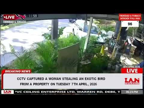 CCTV captured a woman stealing an exotic bird from a property on Tuesday 7th April, 2026.