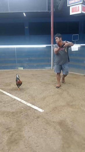 9.2K views · 183 reactions | Dniz Adonis on Reels | Facebook