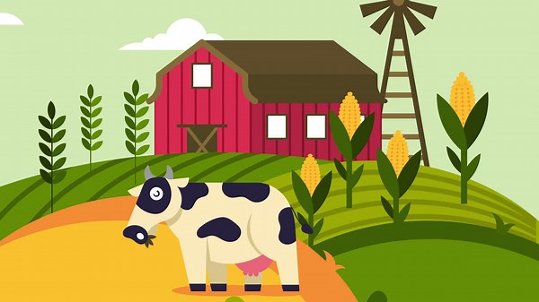 Farm Scene with Cow and Barn | Free Stock Video Footage