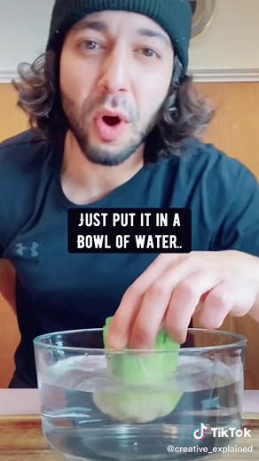 Year-Round Gardening: Tips for Growing Celery at Home