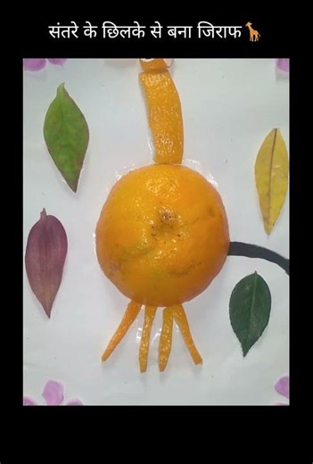 #Giraffe 🦒 #Santra ka Chhilka Se bana #endangered species # save wild Life