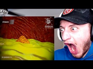 How Does Your Body Turn Food Into Poop REACTION