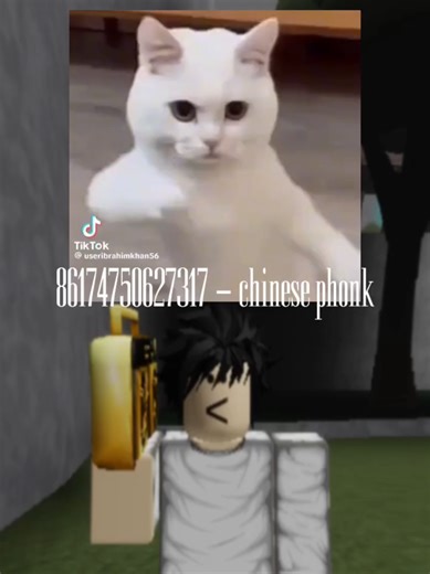 chinese phonk, follow for more song id's #boombox #songid #robloxsongid #roblox #chinese @mach1koz