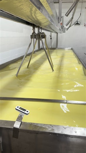 Cold winter weather has us inside doing what we do best—making cheese. ❄️🧀 Stop in and watch the process from milk to curds. #WinterCheese #MichiganMade #FarmCountryCheese #ColdDayComfort #CheeseInTheMaking | Farm Country Cheese House