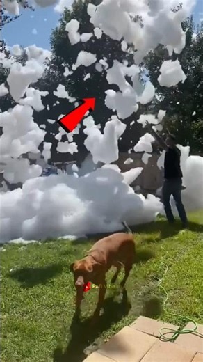 Don't Touch a Falling Cloud! Here's Why! 🤯