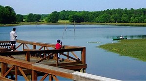 35K views · 56 reactions | If you find yourself taking a road trip along I-95, check out our list of 12 great attractions and places to stretch your legs and make lasting memories. Read more here >>> https://on.gei.co/2Sr9469 | GEICO | Facebook