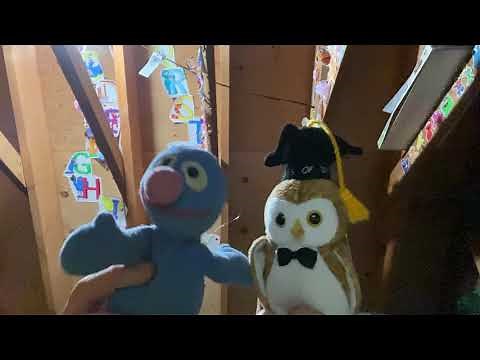 Hoots the Owl Sings The Birdcall Boogie