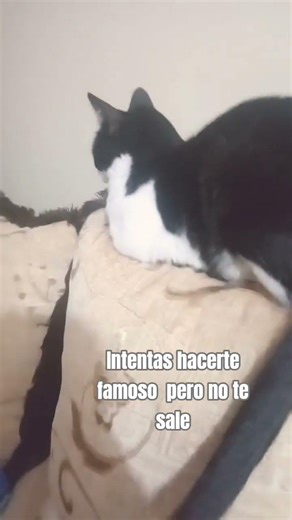 un animal en 3d de temu