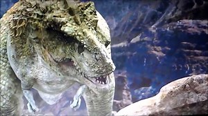 Tyrannosaurus Rex eat meat