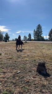 Beautiful Heber, Arizona on 11-12-2025 for the first day of the 67th Historic Annual Hashknife Pony Express Ride. | The Hashknife Pony Express on Route 66 Holbrook, AZ