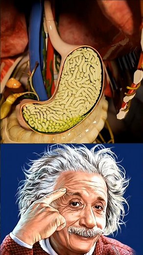 SIGMA PHYSICS TEACHER🗿☠️