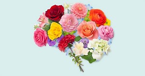 Happy Thoughts Might Be Your Brain’s Cheat Code for Learning