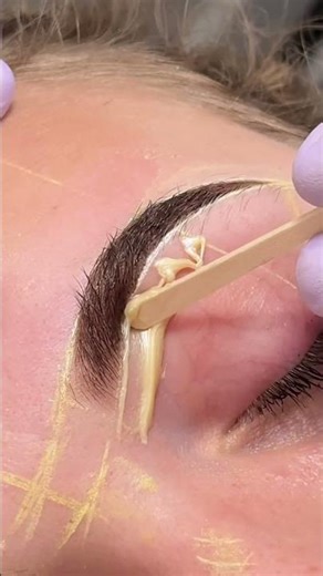 #broweducator #lashextensions #browstylist #browvideos #waxing #waxingtutorial #browwaxing