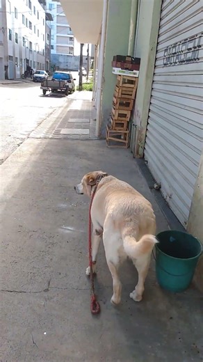 25 de março de 2026