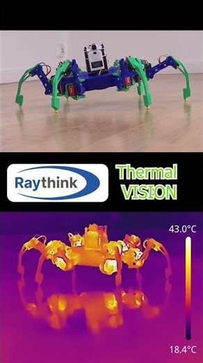 Thermal View of a Dancing Hexapod Robot 🕺🕸️