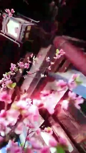《特种兵穿越绑定系统，开局就英雄救美》 | The Special Forces Soldier Travels Through Time and Saves a Beautiful Woman at