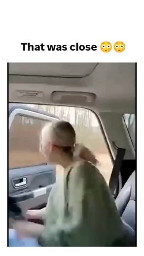 Thetrandlab48 on Instagram: "The video depicts a woman driving in a wildlife reserve who quickly closes her car window as a leopard lunges toward it, narrowly preventing entry while her golden retriever remains unfazed in the back seat. - Posted December 15, 2025, the clip amassed 4.8 million views and 59,000 likes within 48 hours, fueled by its raw display of instinctual survival in a safari setting. - User reactions blend shock with humor, often memeing the dog’s composure amid chaos, reflecti