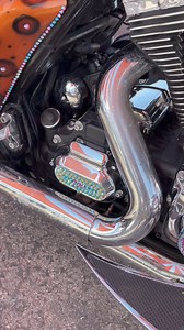 What are your thoughts on this highly detailed "Team Diva" Bagger? | CycleDrag