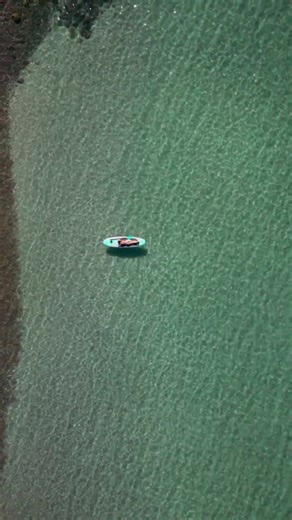 Exploring the Fascinating World of Cacti