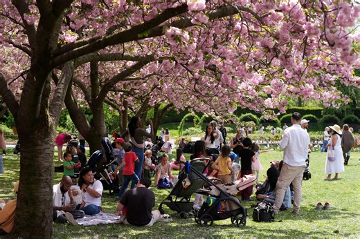 Vernal equinox marks the official start of spring in the Northern Hemisphere