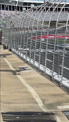 IMSA Ford Mustang Challenge Round 1 Qualifying Andrew Aquilante, Sam Paley & More On Track Charlotte