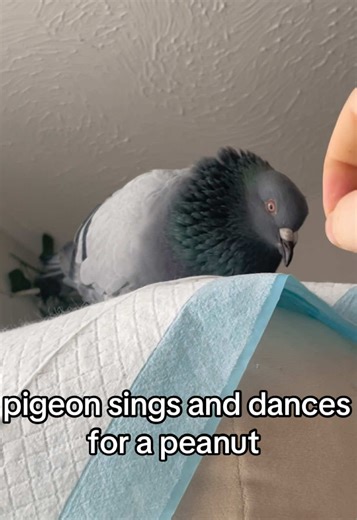 Pidge’s Confidence: Full Spin and New Tricks