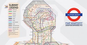 An Illustrated Subway Map of Human Anatomy