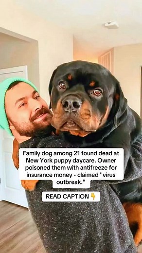 1.4K views · 484 reactions | Thursday drop-off. Everything normal....