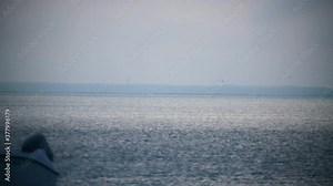 Water birds flying above the ocean surface at dusk at Long Beach Island
