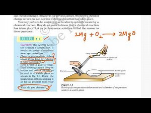 Activity 1.1,1.2 ,1.3 Ch-1 Class X CBSE NCERT Science Chapter 1