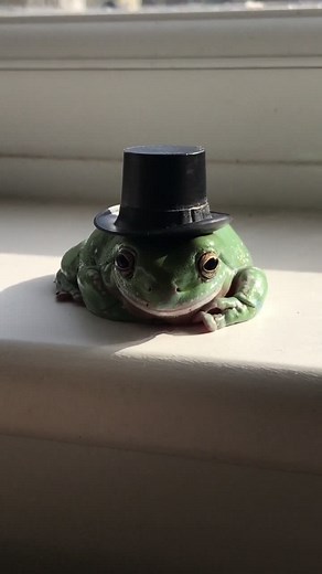 Elegant Frog Gentleman: The Distinguished Reptile with a Top Hat 🎩