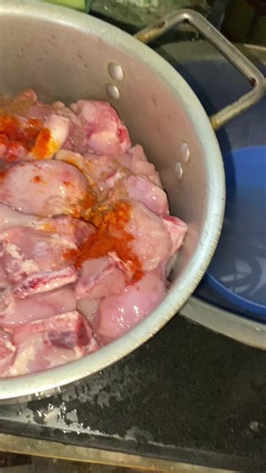 Discover the Adorable World of Cats on TikTok!