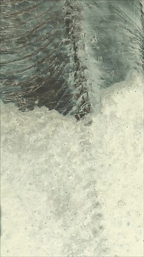 instonefossils on TikTok