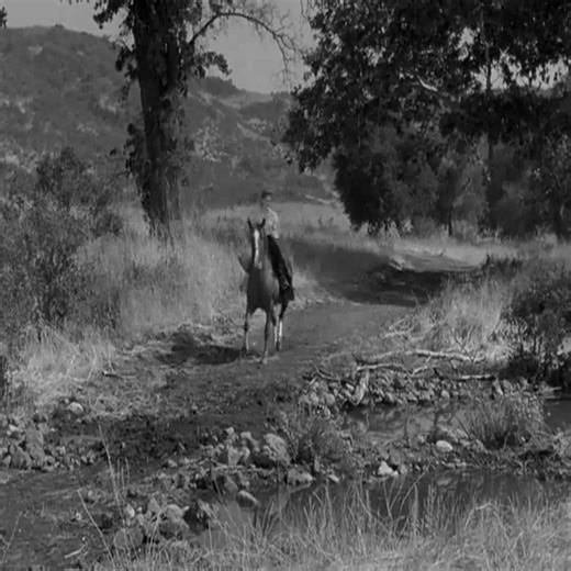 Gunsmoke S08E12 – The Way It Is part4 | Aleckztour20